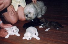newborn