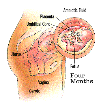 Steroids and diabetes in pregnancy