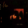 End cover