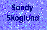 The Sandy Skoglund Worship Page