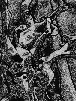 JPG 253x334, 37KB