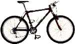 bike.gif - 6747,0 K