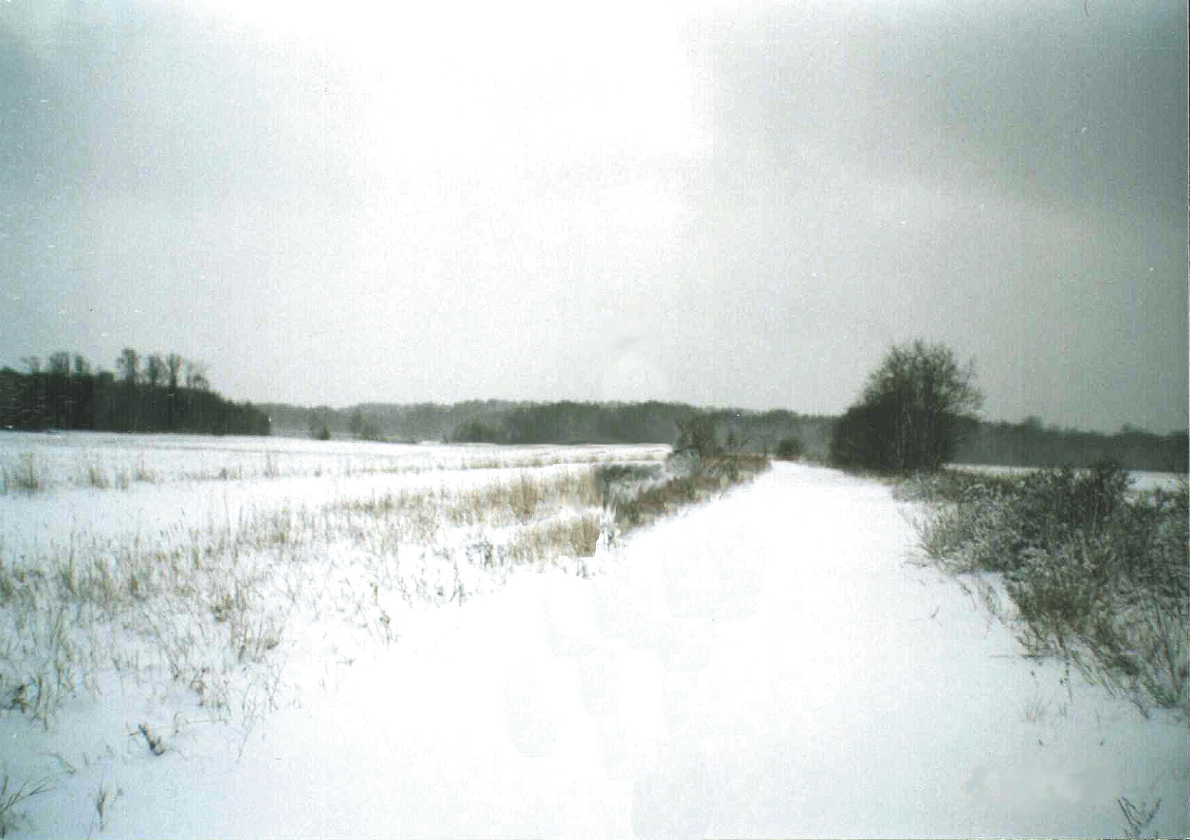 http://www.oocities.org/taipaleenjoki/taipale/Field.jpg