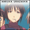 {Haruka Urashima}