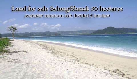 Land for sale SelongBlanak south of Lombok