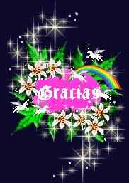 Gracias por su visita