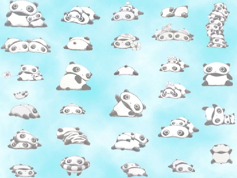 funny tumblr wallpapers tare MEMEs panda kawaii