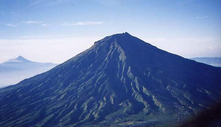 Hutan Gunung