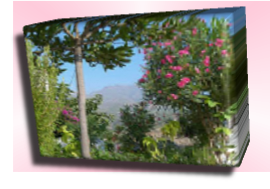 wp70073941.png