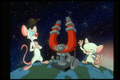 Pinky and the Brain Picture Gallery