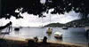 Under the Almond Tree in Bequia harbour
