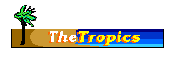 [The Tropics]