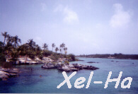 Click here to see Xel-Ha's gallery