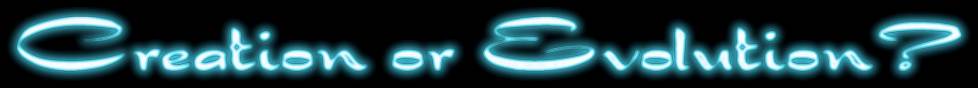 Evolution - Creation Logo