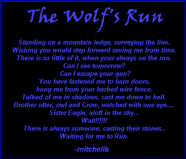 'The Wolf's Run' copyrighted by mitchellb