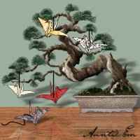 Auntie Em's Bonsai Tree