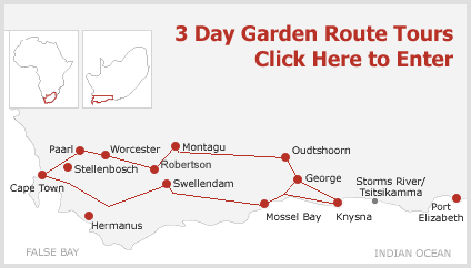 3 Day 2 Night Garden Route Tours from Cape Town