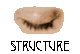 Structure 