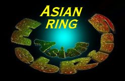 The Asian Ring Homepage