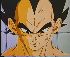 Clic here to see the picture (vegeta13.jpg)