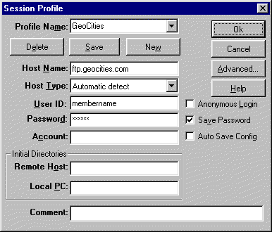 download ws_ftp95 le