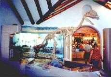 Dinosaur at the Museum of Northern Arizona