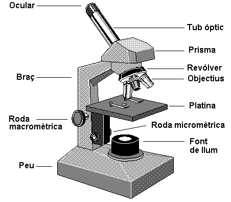 microscopi