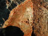 Click to see DSCN1161.JPG