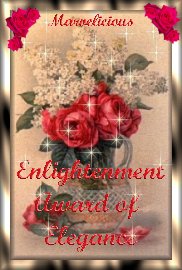 The Enlightenment Award