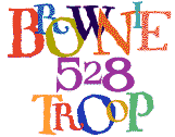 Brownie Troop 528