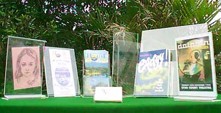 Pamphlet, Book and Advertising Stands