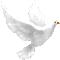 Dove