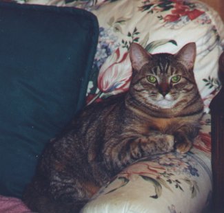 Chicklet's chair