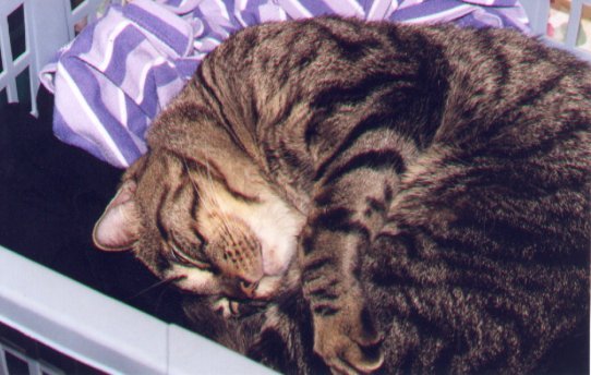 Look how cute I AM!!