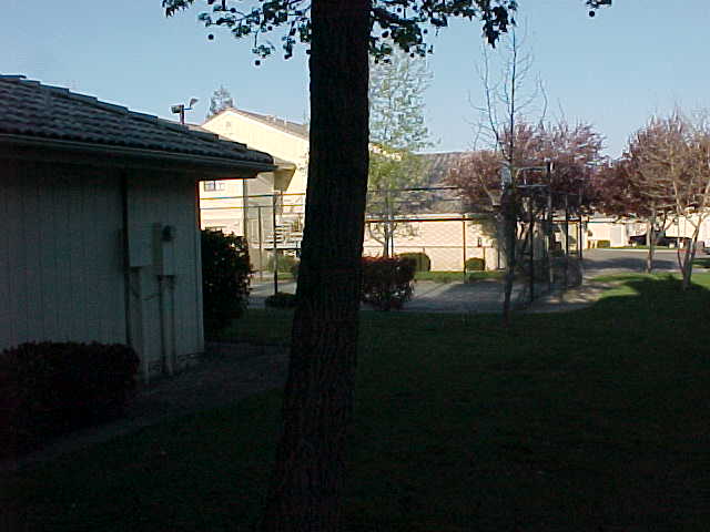 The basketball court