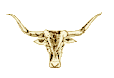 longhorn head