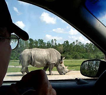 looking for a ride