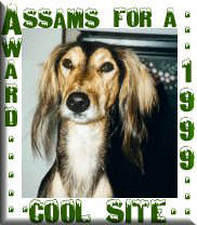 Assam's Award for a Cool Site