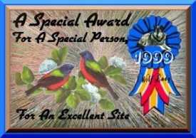 A Special Award for a Special Person