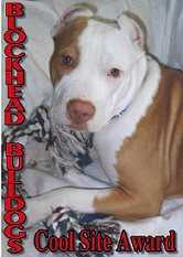 Blockhead Bulldogs Cool Site Award