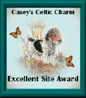 Casey's Excellent Site Award
