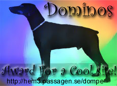 Domino's Award For a Cool Site
