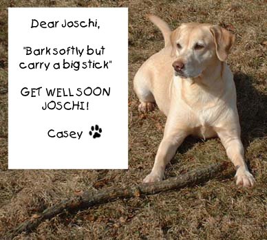 Get Well Soon Joschi!
