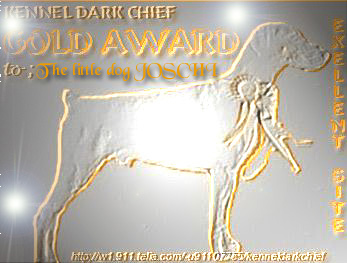 Kennel Dark Chief Gold Award