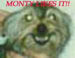 Monty Likes It