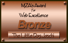 MZA's Bronze Award