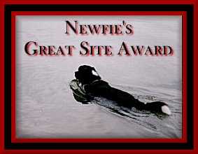 Newfie's Great Site Award