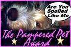 The Pampered Pet Award
