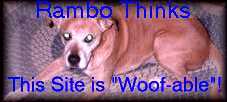 Rambo's Cool Site Award