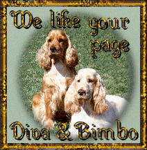 Diva & Bimbo Award